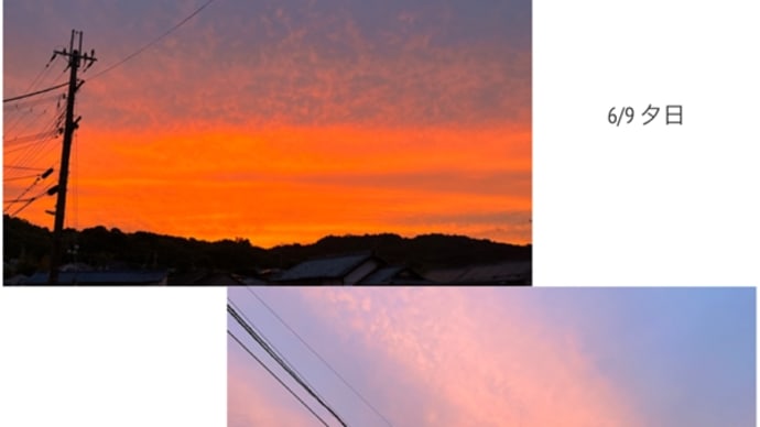 鮮やかなオレンジ夕日 & 短くしました!