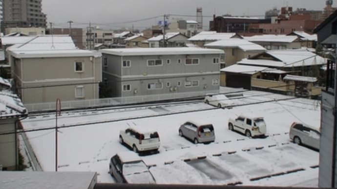 しっぽりと冬です
