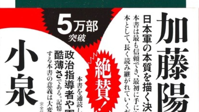 中公新書『日ソ戦争』(麻田雅文著)を読むー東アジア現代史の起点