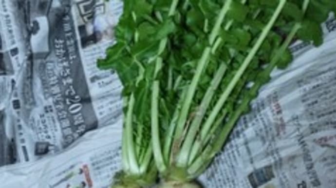 うれしい頂き物