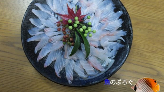 コバンザメ