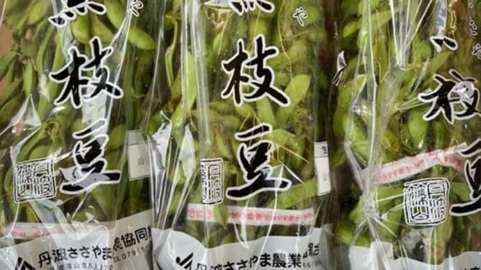 故郷では黒枝豆が最盛期!・・・丹波篠山市 特産品