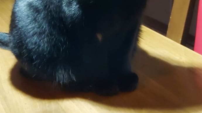 元気が一番