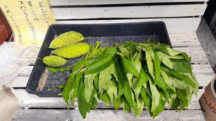 憩いの庭の夏野菜２
