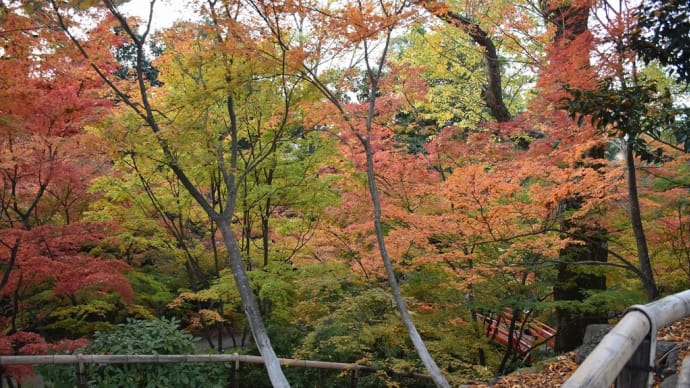 もみじ狩り 京都編4日目 ハイライト【1~8】赤山禅院、鷺森神社、金福寺、法然院、哲学の道、永観堂、平安神宮、北野天満宮