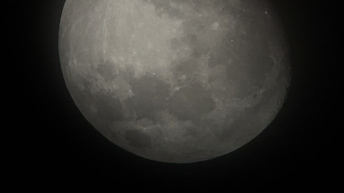 今日の月、十三夜。