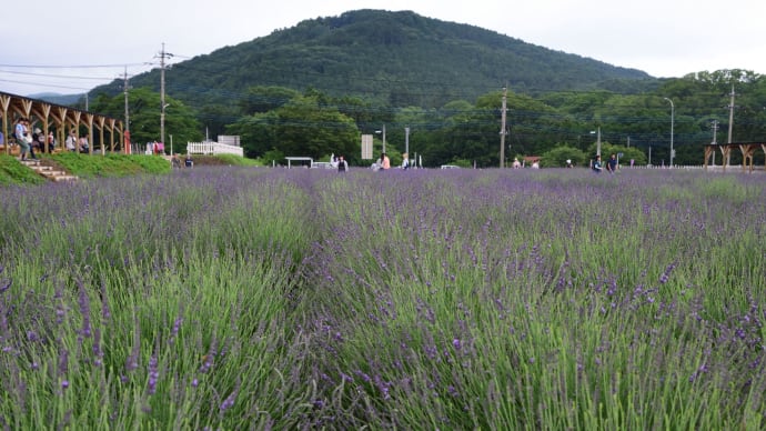 武蔵嵐山 千年の苑