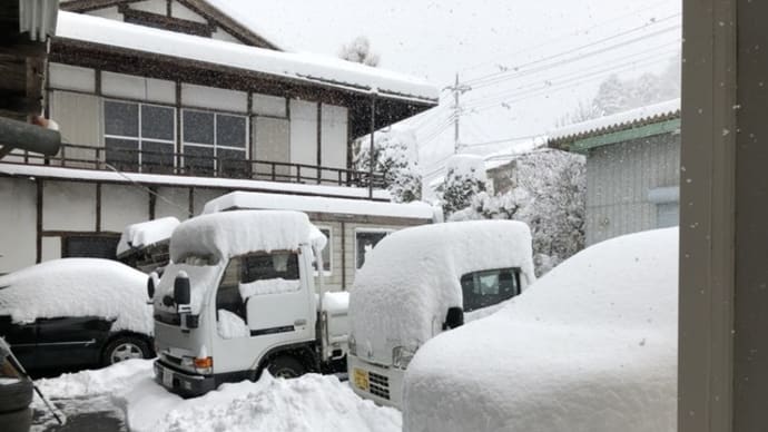 北部に住む社長の妹から送られてきた写真は。。。