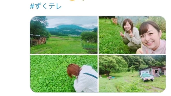 7/9(火)信越放送「ずくだせテレビ」に出演させて頂きます。