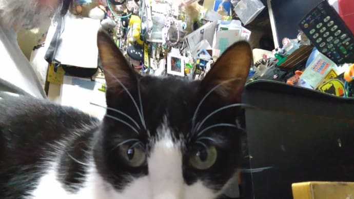 金曜でよかった