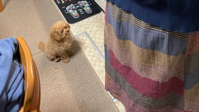 ばぁばんち