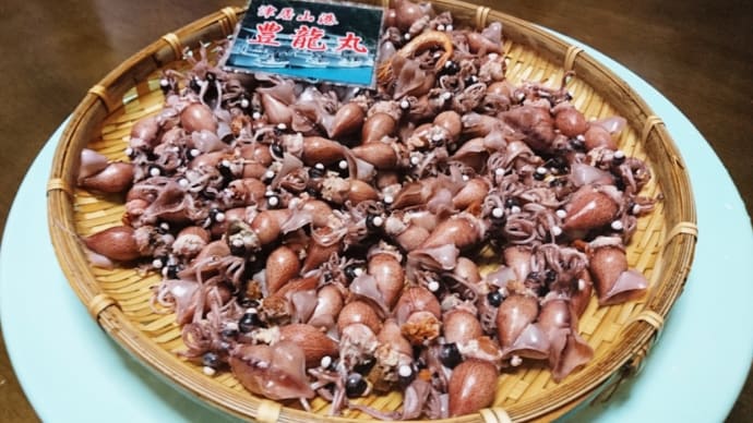 ホタルイカ