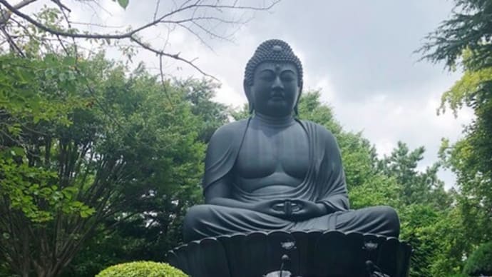 東京大仏さまの赤塚山へ・・🐤♫