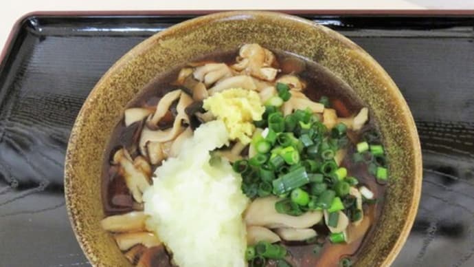 きのこたっぷり温うどん