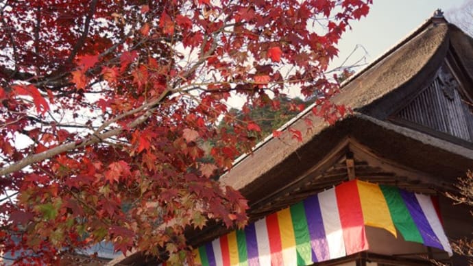 永源寺の紅葉(下」)