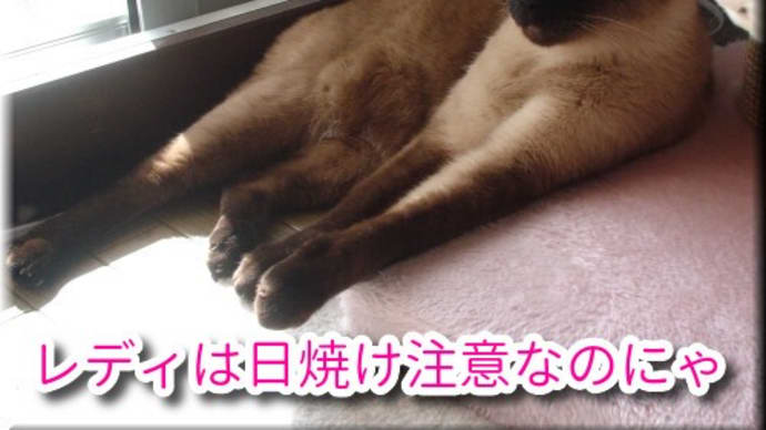 先っちょ