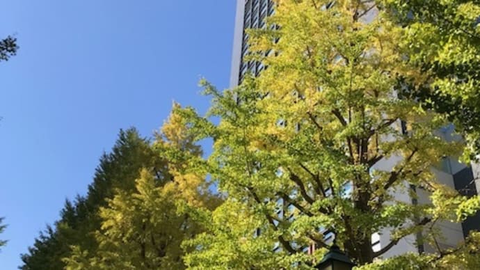 擾乱観てきました