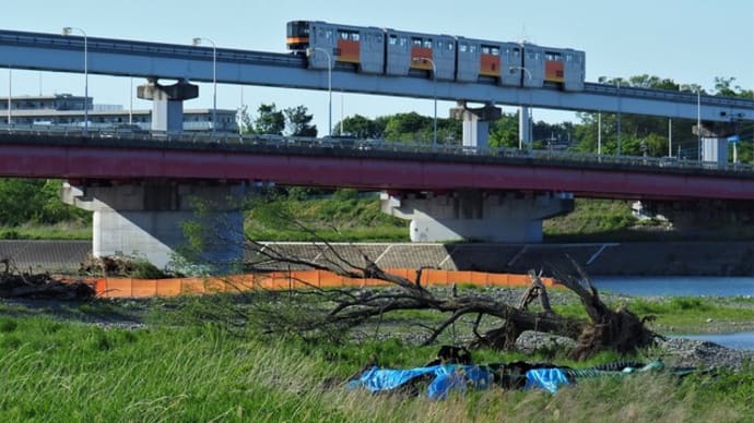立日橋（たっぴばし）で折り返し