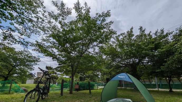 公園で森林浴♫