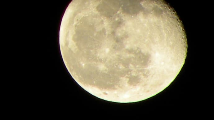今宵も月が綺麗ですな