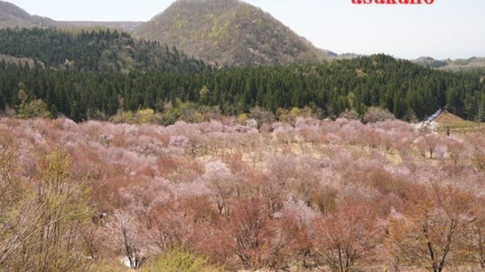 桜峠と五色沼