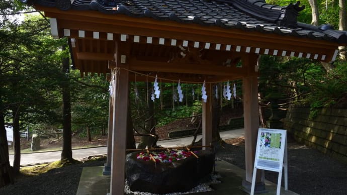 9/2 千歳神社 花手水