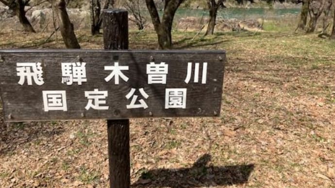 カタクリの花とお団子を自分で焼いて食べれるカフェ