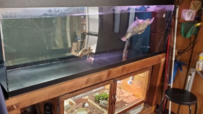 水