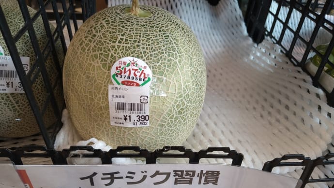 メロン1個が399円