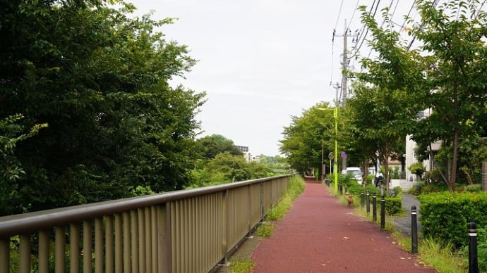 高齢者専門の精神科医の和田秀樹さんの『認知症の進行を遅らせるためにできること』、私は学び、微笑み・・。