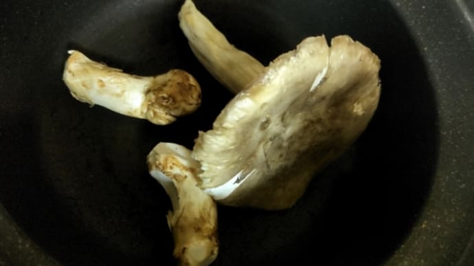 🍄狩り
