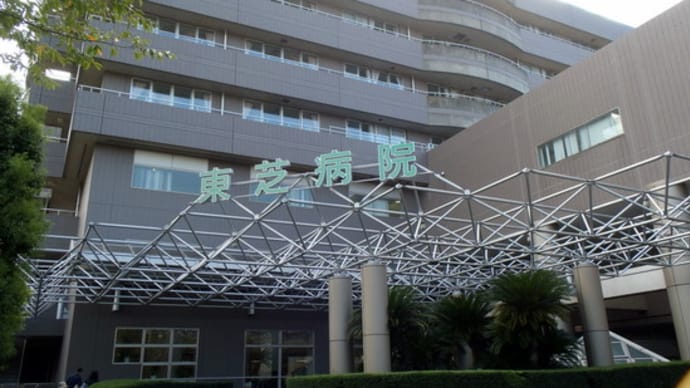 骨折顛末記 Day 61~64: 直立原人は偉大だ、重力に抗して