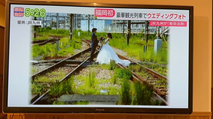 らむ弟くん TVにでる