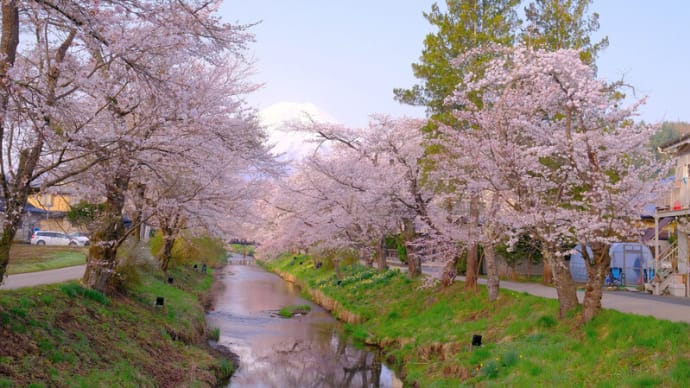 sakeの歩窓から(kekeと一緒に忍野と河口湖)