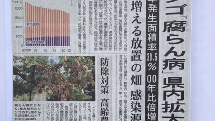 りんご腐らん病の枝を伐採中、脚立から落ち緊急病院・入院！