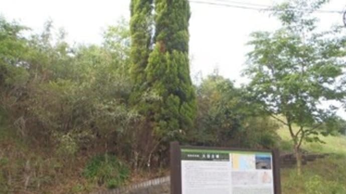 大谷古墳にいきました(和歌山県和歌山市)