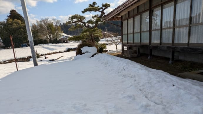 実家
