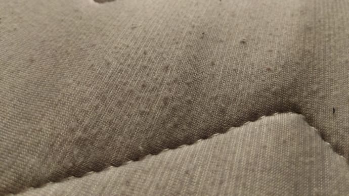 Nクールが毛玉だらけ