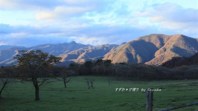 絶景の宝庫・霧降高原道路