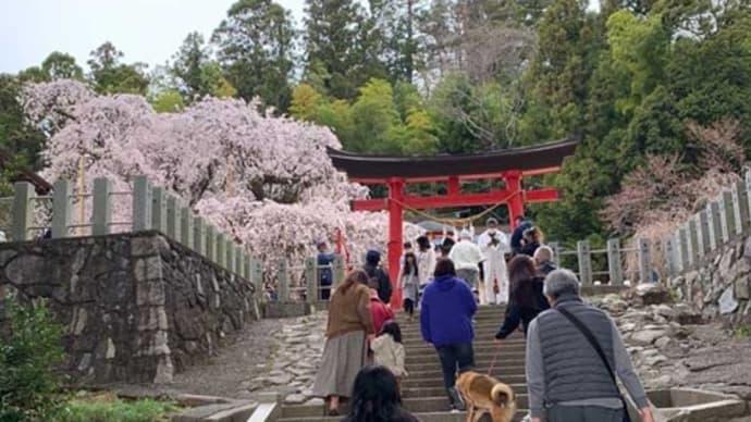 二日続けて小川の諏訪神社