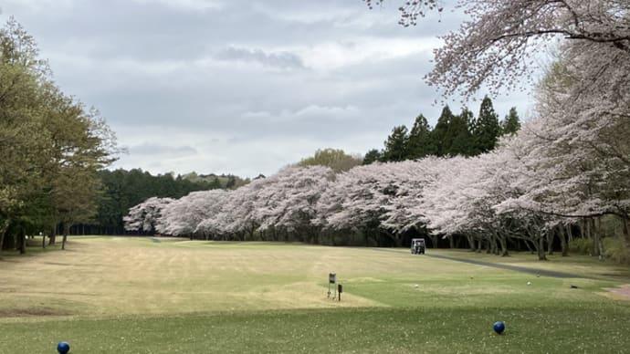 桜の宮ゴルフ倶楽部でゴルフ、帰りに石下｢春子屋｣でだんご
