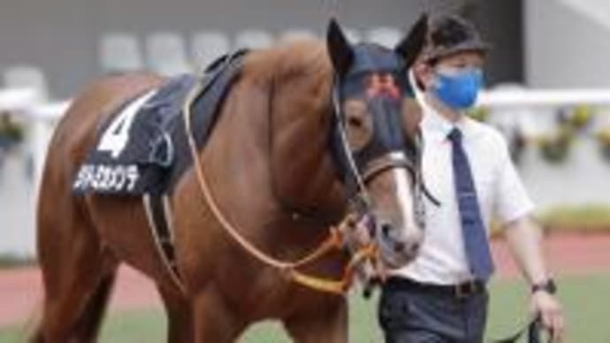 リトミカメンテ、放牧へ
