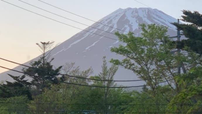 生信玄餅って…なに!?