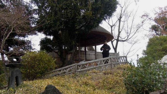 京の冬の旅・西本願寺 ⑤「四阿(あずまや)胡蝶亭から見る 飛雲閣」