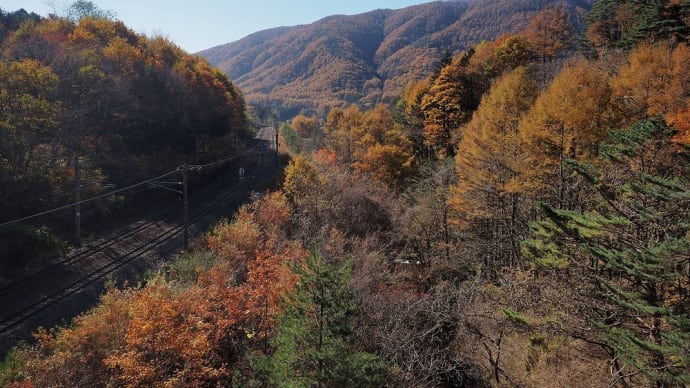 ★木祖村の黄葉🍂 2024