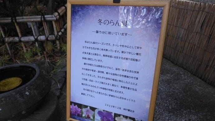 冬のらん展