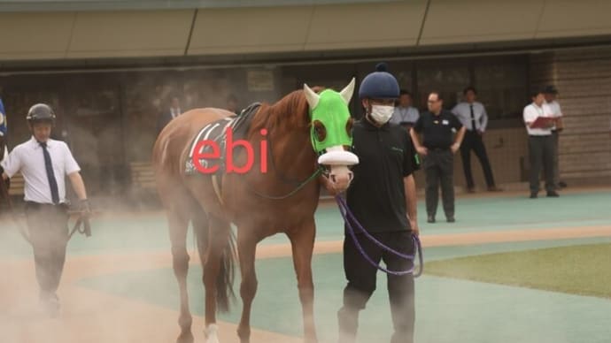 ジョディーズマロン 5月11日東京12R 戸崎騎手