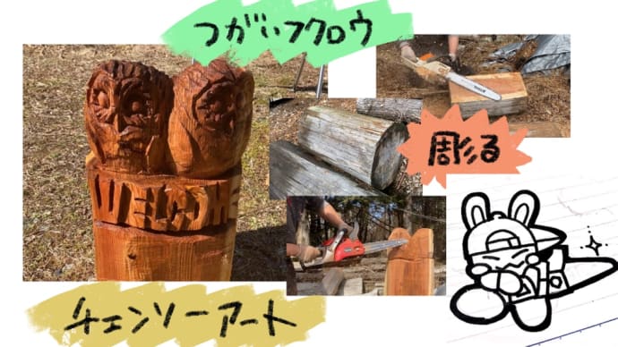 VLOG つがいフクロウ