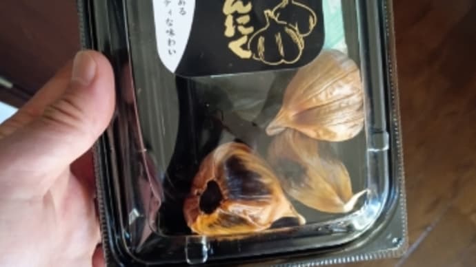 【佐渡】トライアスロン大会まで3週切った 今年はこれで