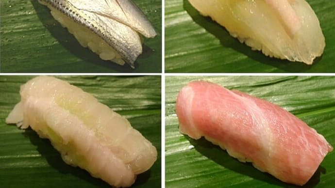 鮨喰い初め